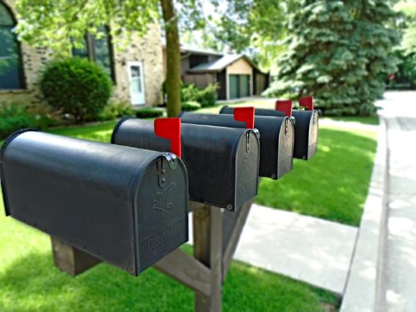 Newsletters