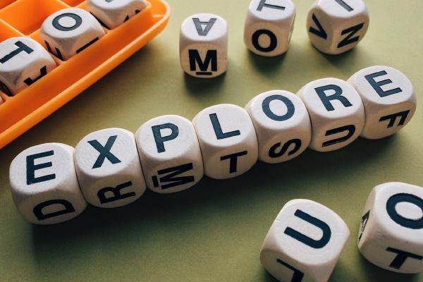 An introduction to the Decision Exploration System